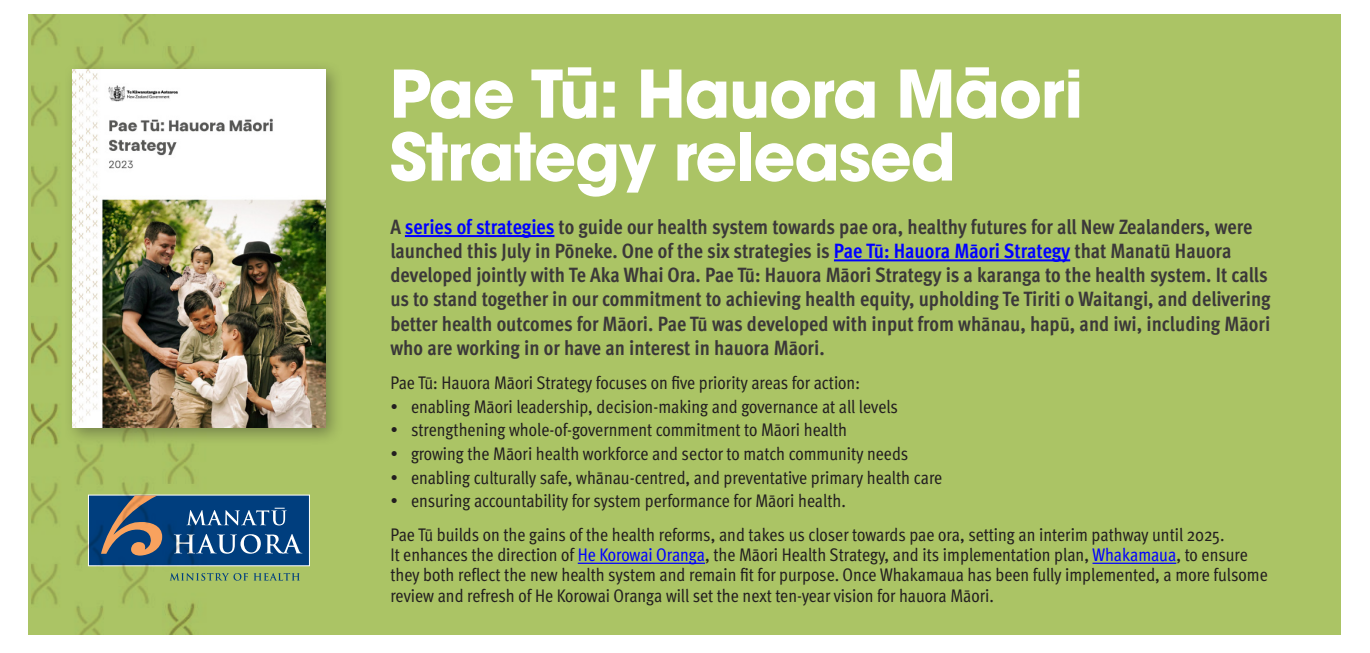 https://www.health.govt.nz/new-zealand-health-system/pae-ora-healthy-futures-all-new-zealanders/pae-ora-strategies/pae-tu-hauora-maori-strategy