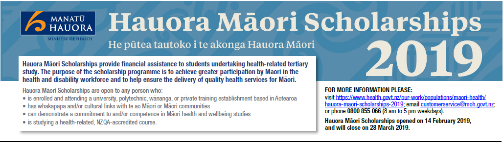 https://www.health.govt.nz/our-work/populations/maori-health/hauora-maori-scholarships-2019